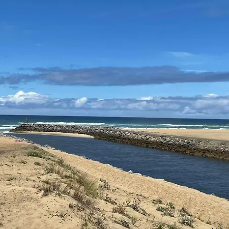 Les Balcons Des Pecheurs C21 By Interhome شقة ميميزا بلاج