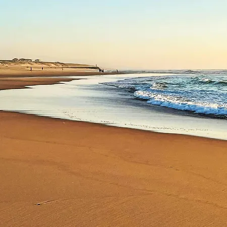 Les Balcons Des Pecheurs C21 By Interhome * ميميزا بلاج