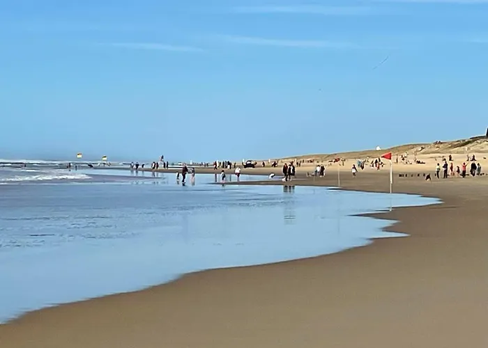 شقة Les Balcons Des Pecheurs C21 By Interhome ميميزا بلاج